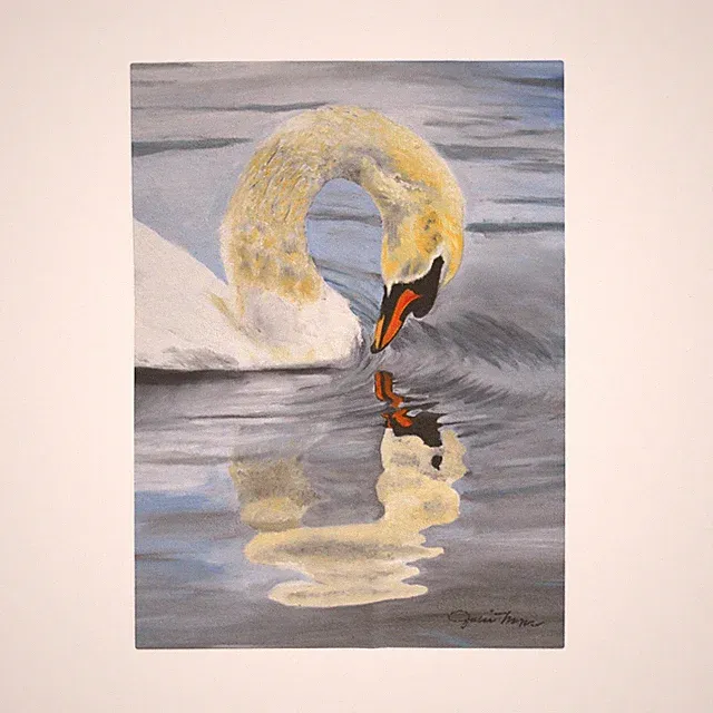 Elegant Swan Reflection Velveteen Blanket, Cozy Home Decor, Gift for Her, Art